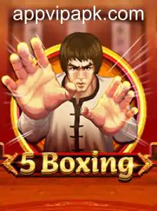5Boxing